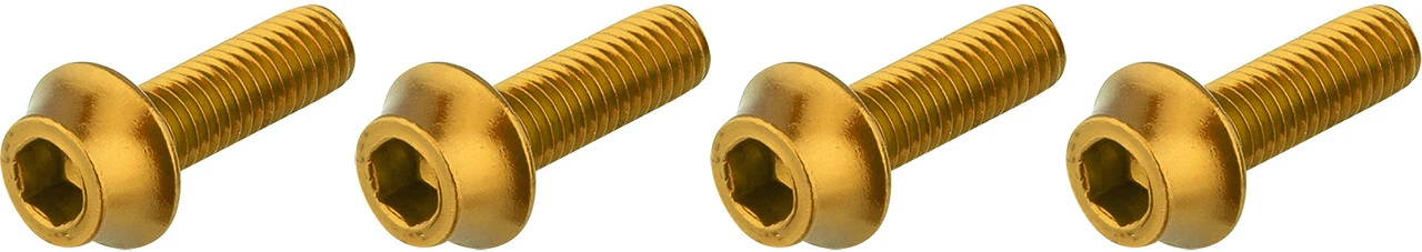 Flaschenhalterschrauben 1 Flaschenhalterschrauben